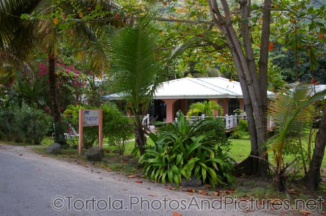 Cane Garden Bay Cottages in Tortola.jpg
