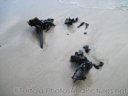 Black fossil rocks at beach of Cane Garden Bay in Tortola.jpg