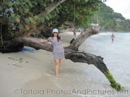 Joann next to tree at the beach of Cane Garden Bay in Tortola.jpg
