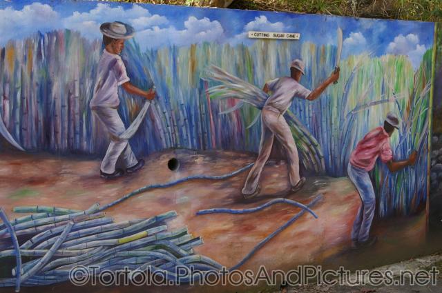Cutting Sugar Cane mural in Tortola.jpg
