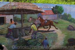 Tortola Murals