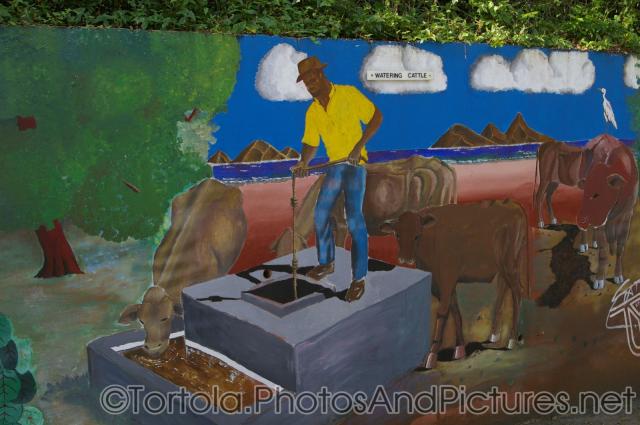 Watering Cattle mural in Tortola.jpg

