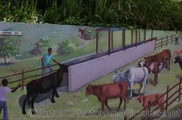 Dipping Day mural in Tortola.jpg
