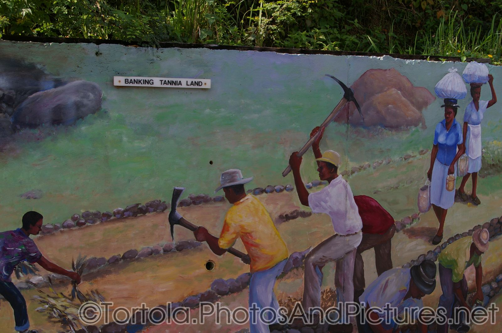 Banking Tannia Land mural in Tortola.jpg
