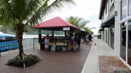 Driftwood Art & Engraving by Marvin at Tortola Cruise Terminal
