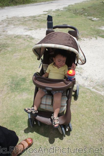 Darwin has fallen asleep in a stroller in Tortola.jpg