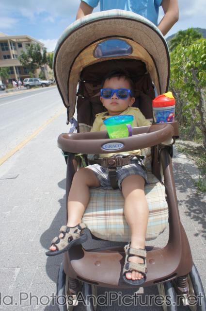 Darwin looks sleepy in stroller in Tortola.jpg
