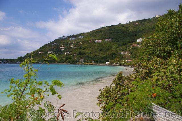 Trees and plants and beach and green hill at Cane Garden Bay in Tortola.jpg

